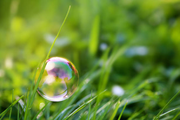 Colorful soap bubble in nature as a template for a postcard, advertising and other. Emblematic of relaxation, nature, joy, ecology ...