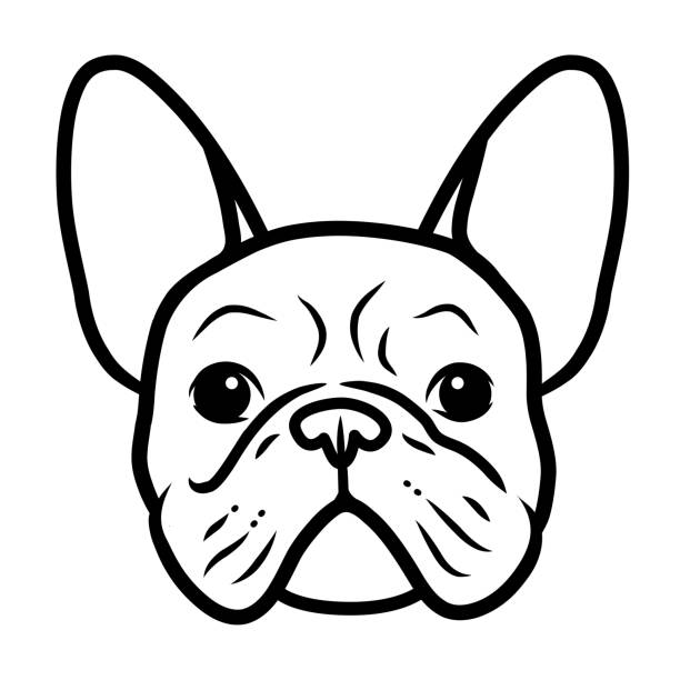 프랑스 불독 흑백 손으로 그린 만화 초상화입니다. 재미 귀여운 불독 강아지 얼굴입니다. 개, 애완 동물 테마 디자인 요소, 아이콘, 로고. - 프렌치불도그 stock illustrations