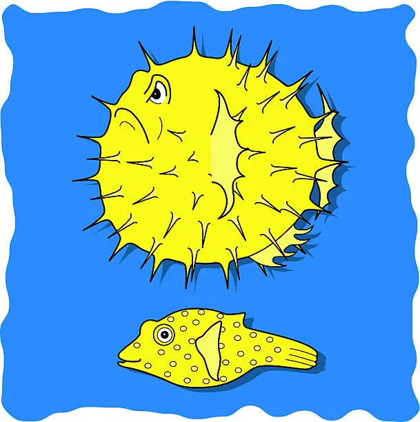 Vector illustration of big blowfish