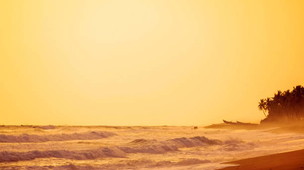 African beach - Ouidah, Benin