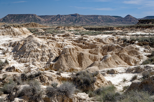 An amazing view of the Bardenas Reales desert in the spanish province of Navarra. A landscape of badlands and bushes at the end of the afternoon.