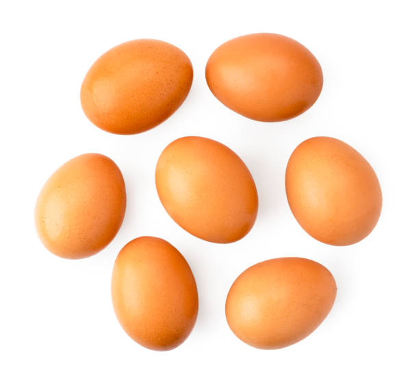 istock Chicken eggs on a white background. The form of the top. 1158465470