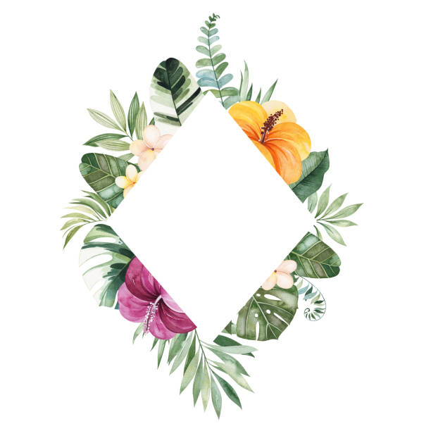 ilustraciones, imágenes clip art, dibujos animados e iconos de stock de borde de marco prefabricado con flores multicolores, hojas, hoja de palma - alcatraces de colores