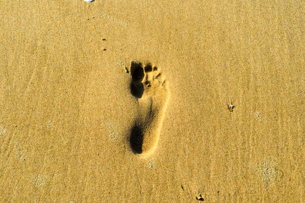 Human footprint in the sand.