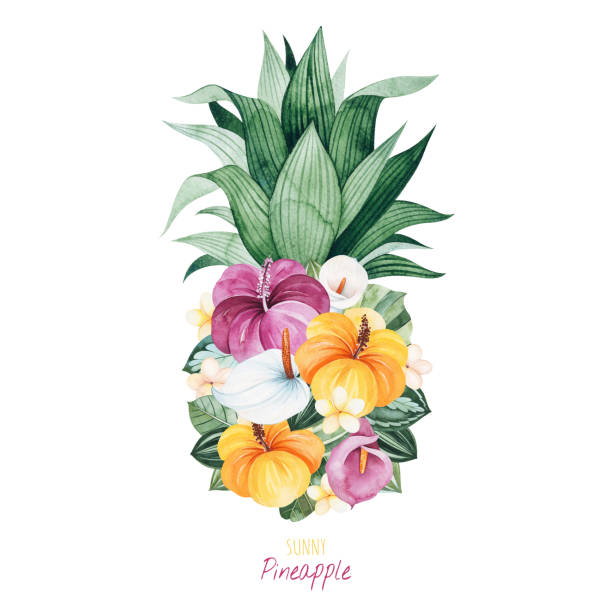Greeting card with pineapple,leaves,palm leaf,multicolored flowers Watercolor Sunny Pineapple.Greeting card with pineapple,leaves,palm leaf,multicolored flowers.Perfect for wedding,invitations,quotes,logos,Birthday cards,bridal shower and your unique creation. drawing of the hawaii islands stock illustrations
