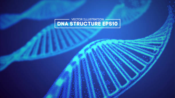 istock Genome dna vector illustration. DNA structure EPS 10. Genome sequencing concept of gmo and genome editing. Pharmaceutical chemistry and dna research. Biotechnology of molecule connection . Human genome crispr dna. 1158467578