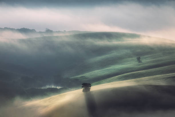 nebbia e luce solare tra alberi nebbiosi nella valle della toscana - morning italy shadow sunlight foto e immagini stock