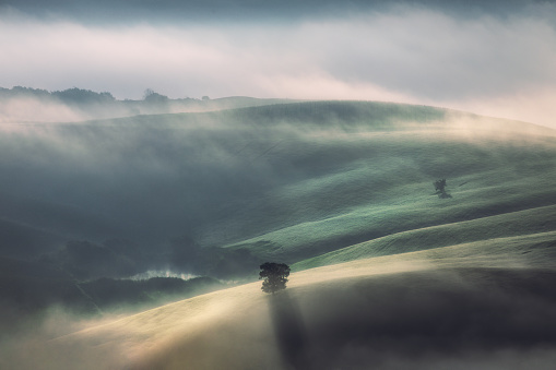 Nature landscape at sunrise on a misty morning in the green grass hills with cloud sea and fog and sunbeams through trees  in the valley of Toscana, Italia