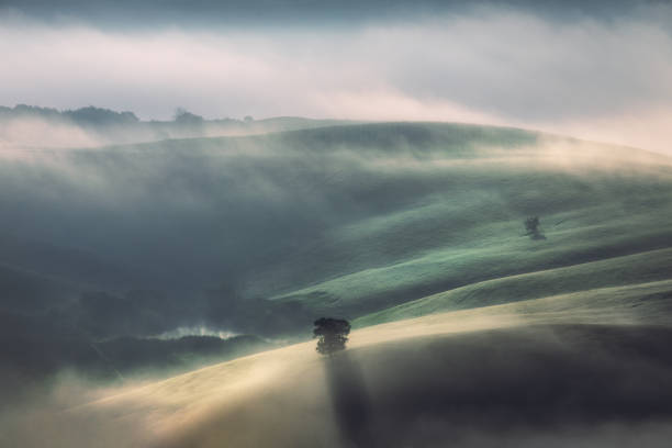 Photo of Fog and sunlight through misty trees in the valley of Tuscany, Italy