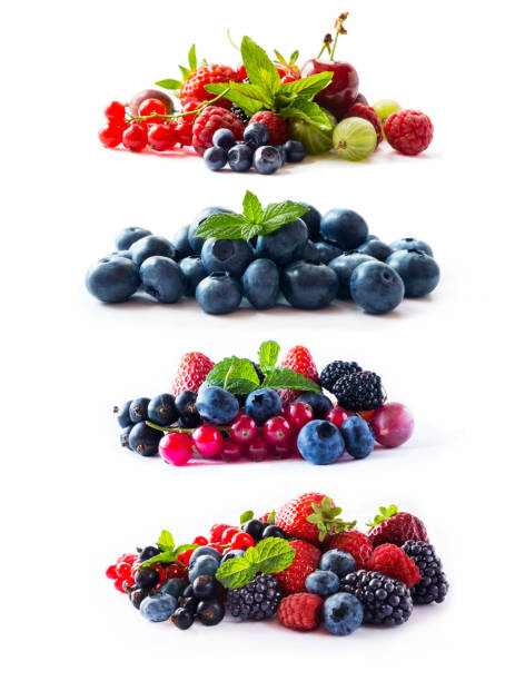 set of fresh berries isolated a white. currant, raspberry, cherry, strawberry, gooseberry, mulberry, bilberry, blueberry. background of mix fruits with copy space for text.assortment of summer berries - berry fruit currant variation gooseberry imagens e fotografias de stock