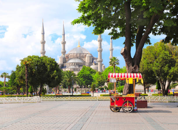 blaue moschee (sultan-ahmet-moschee), sultanahmet-platz, istanbul, türkei - sultan ahmad moschee stock-fotos und bilder