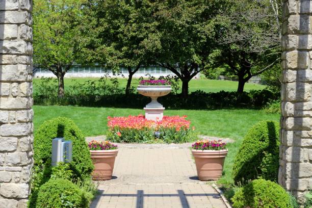 istock Flowers in the Garden 1158474615