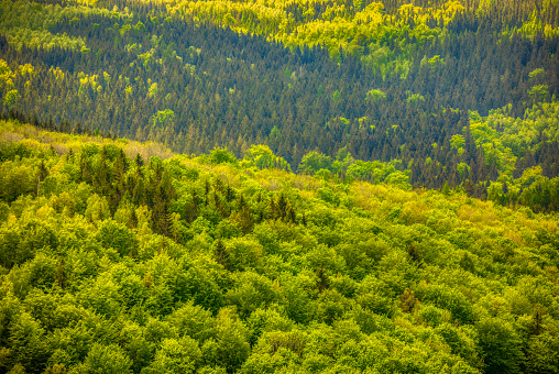 beautiful landscape with the Karkonosze (Krkonoše, Giant Mountains) mountains