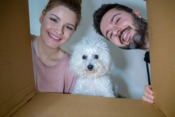 istock Beautiful couple looking at camera and smiling while packing boxes for move 1158477597