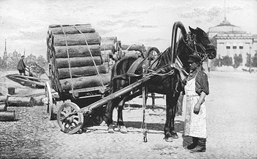 Man with a train of horse carts hauling logs in Saint Petersburg, Russia. The Russian Empire era (circa 19th century). Vintage halftone photo etching circa late 19th century.
