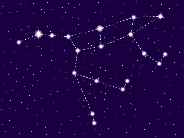 ilustraciones, imágenes clip art, dibujos animados e iconos de stock de constelación de ursa major. cielo nocturno estrellado. ilustración vectorial - major