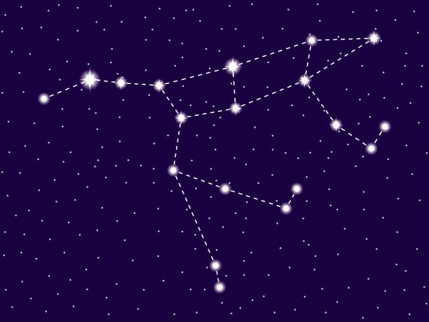 illustrations, cliparts, dessins animés et icônes de ursa major constellation. ciel étoilé de nuit. illustration de vecteur - major