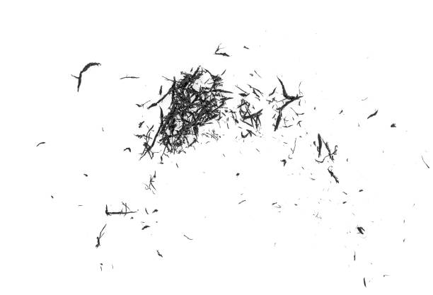 istock Black eraser scrap on a white background, top view. 1158484942