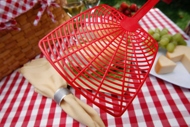 Fly Swatter Sandwich Picnic This is a photograph of a turkey hoagie sandwich sitting on a white picnic table outdoors on a sunny summer day getting hit by a fly swatter. There is copy space in the lush green grass backyard wack stock pictures, royalty-free photos & images