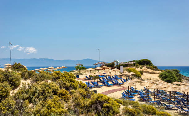 istock Panoramic view to sunbeds and umbrellas in bar on the beach. 1158486291