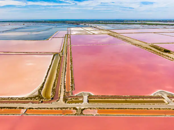 Aigues-Mortes salt marshes and flats Camargue France