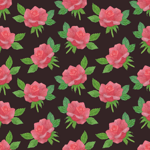 159 Red Rose Black Background Illustrations & Clip Art - iStock | Red roses