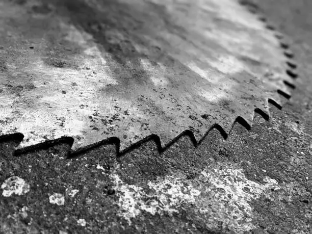 Old rusty skillsaw blade