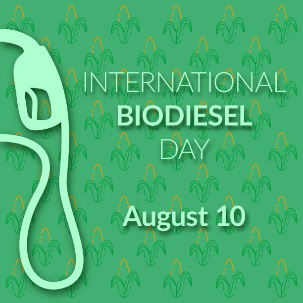 International biodiesel day. Fuel pump. Eco-friendly transport. Corn field International biodiesel day. Fuel pump. Eco-friendly transport. Corn field corn biodiesel crop corn crop stock illustrations