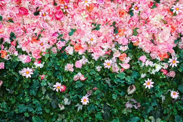 muro dei fiori - ornamental garden europe flower bed old fashioned foto e immagini stock