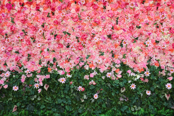 bloemen muur - bloemenmotief fotos stockfoto's en -beelden