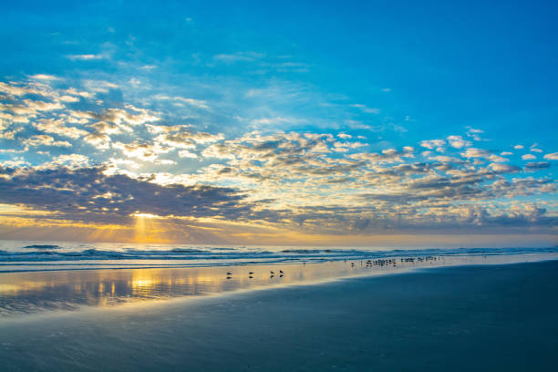 Sun rising over horizon, beach illuminated with sunlight, beautiful sky reflected on the beach. Beautiful coastline scenery. Jacksonville Florida, USA.