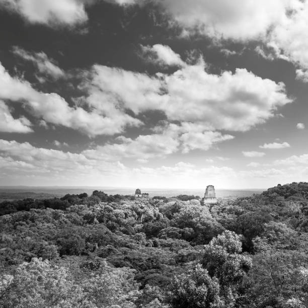 istock Tikal Guatemala Mayan Ruins Black and White 1158497258