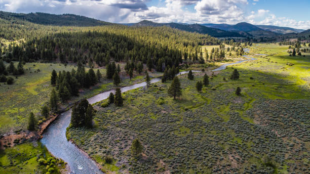 istock Chewaucan River, Lake County,  South Central Oregon 1158497474