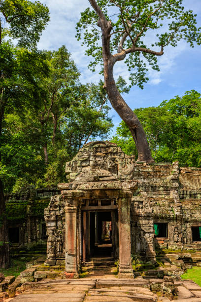 istock Ta Prohm temple near Angkor Wat, Cambodia 1158498634