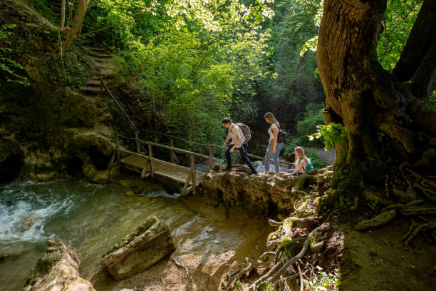 istock Three friends walking in the sunny spring woods and river 1158499586