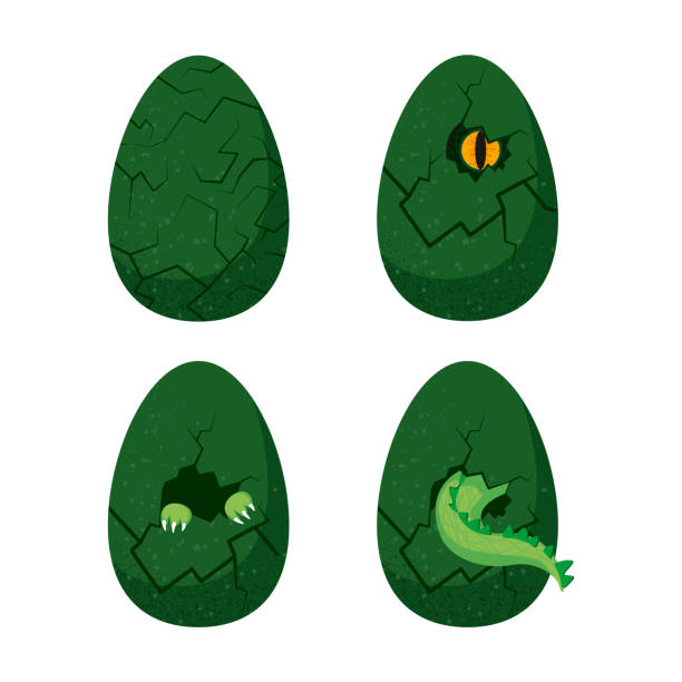 illustrazioni stock, clip art, cartoni animati e icone di tendenza di set di uova di dinosauro nel processo di hatchling. cartoni animati. vettore - cracking the code