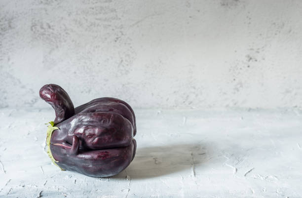 Trendy ugly organic eggplant stock photo