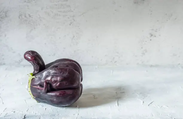 Photo of Trendy ugly organic eggplant