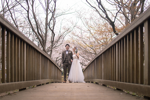 Happy bride and groom smiling on wooden bridge in public park