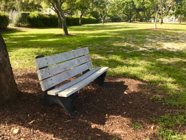 istock close up empty wooden park bench in park 1158507934