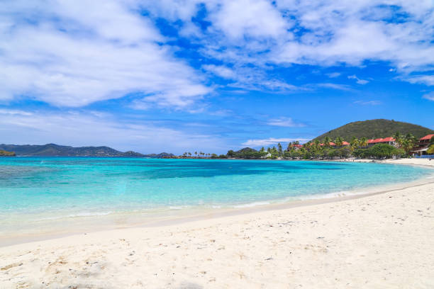 istock Famous Sapphire beach on St. Thomas island 1158509536