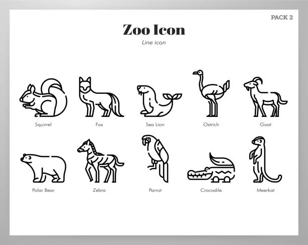 Zoo icons Line pack Zoo vector illustration in line stroke design amphibian illustrations stock illustrations