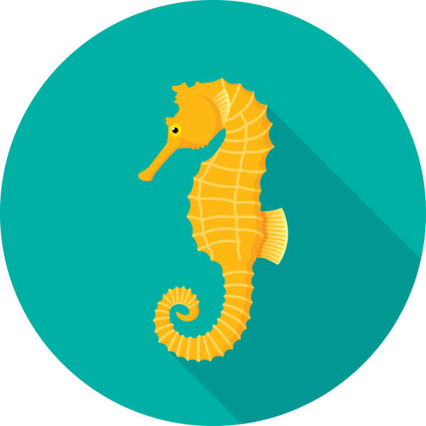 Seahorse Icon Flat Vector illustration of a seahorse against a teal background in flat style. seahorse stock illustrations