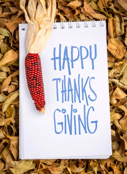 Happy Thanksgiving greeting card - handwriting in an art sketchbook with decorative corn against dry leaves
