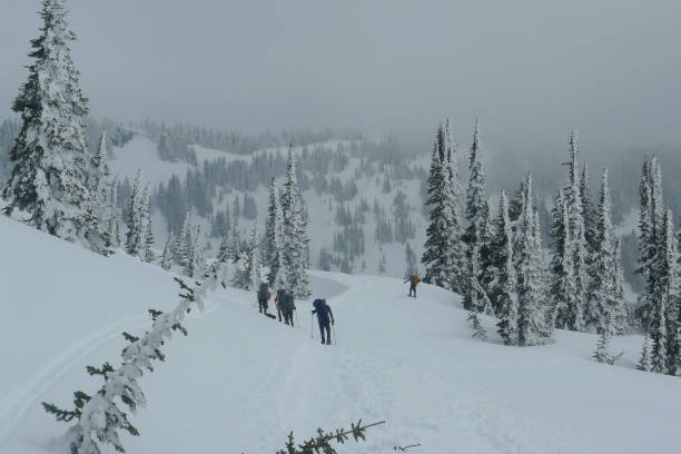 istock Snowshoeing Winter Mountain 1158525909