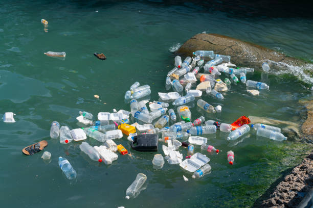 perigo ambiental do lixo plástico que flutua no mar - pacific ocean - fotografias e filmes do acervo