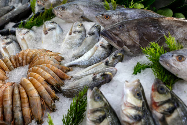 istock Raw fish group at the restaurant counter. 1158526818