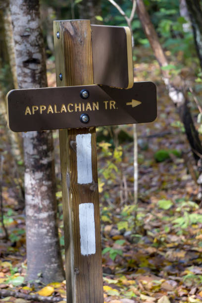 istock views along virginia creeper trail during autumn 1158528743
