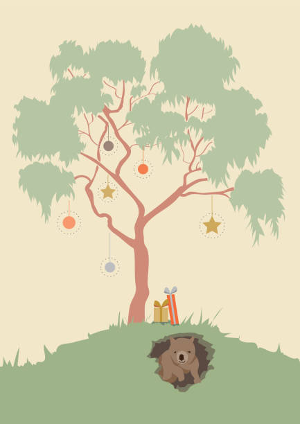 australische weihnachten wombat vektor illustration - wombat stock-grafiken, -clipart, -cartoons und -symbole