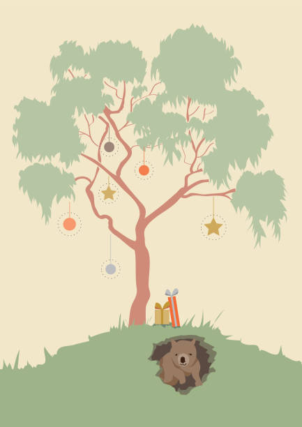 ilustrações de stock, clip art, desenhos animados e ícones de australian christmas wombat vector illustration - australian culture illustrations